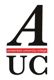 University Amsterdam Campus Logo